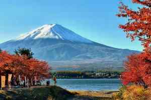 Банк Японии может пересмотреть экономический прогноз на следующий фингод